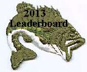 2013lead